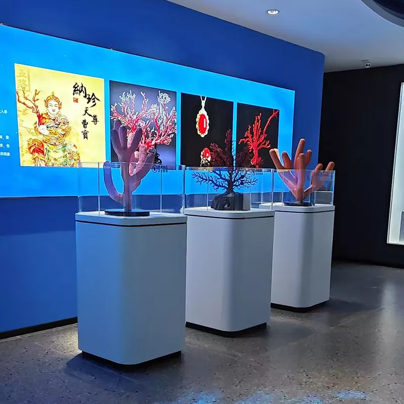 Mesa de exhibición de madera